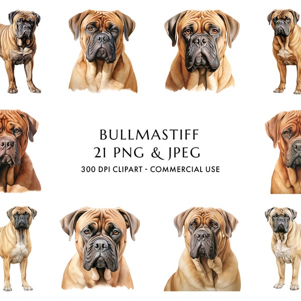 Watercolor Bullmastiff Clipart Bundle 21 High Quality PNG & JPEG, Gift for Dog Mom and Dad, Digital Crafting, Digital Download