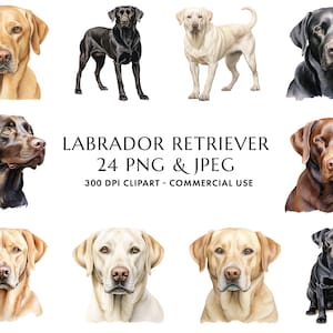 Aquarell Labrador Retriever Clipart Bundle 24 hochwertige PNG & JPEG, Geschenk für Hund Mama und Papa, digitales Basteln, digitaler Download