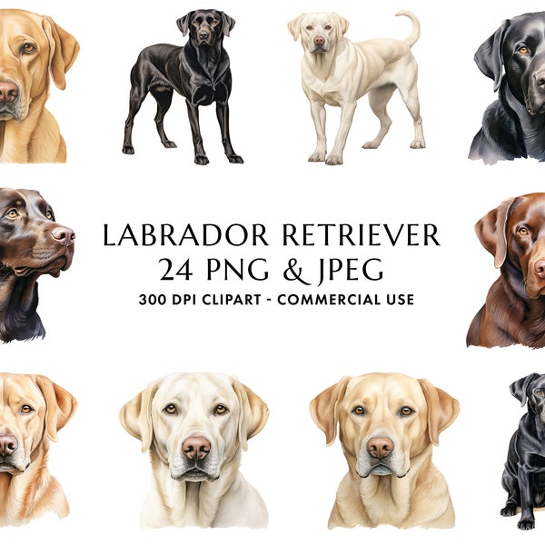 Watercolor Labrador Retriever Clipart Bundle 24 High Quality PNG & JPEG, Gift for Dog Mom and Dad, Digital Crafting, Digital Download