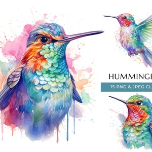 Hummingbird Clipart - 15 High Quality PNGs & JPEG - Colorful Watercolor Bird Prints - Digital Crafting - Instant Digital Download