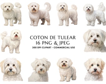 May include: A collection of 16 digital images featuring a Coton de Tulear dog breed. The images are 300 DPI and suitable for commercial use. The text "COTON DE TULEAR 16 PNG & JPEG 300 DPI CLIPART - COMMERCIAL USE" is displayed below the images.