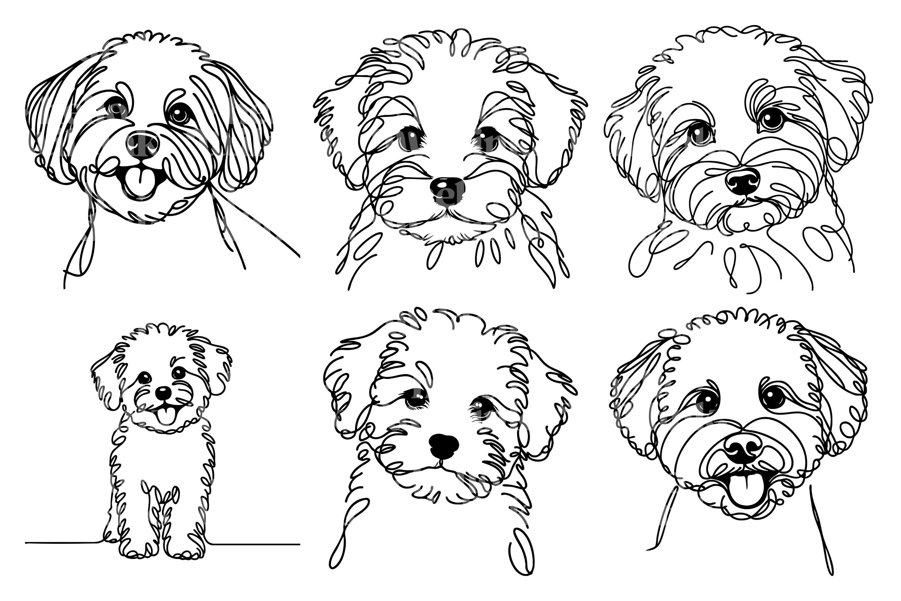 Maltipoo Line Art Clipart Bundle: Minimalist Dog SVG, PNG (digital ...