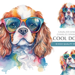 Cool Cavalier King Charles Spaniel chien Clipart, 9 PNG de haute qualité, chiens drôles avec des lunettes de soleil impression aquarelle, téléchargement numérique
