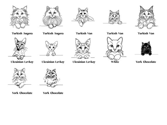覗き見する猫の線画 SVG バンドル: 45 種類 (デジタルダウンロード