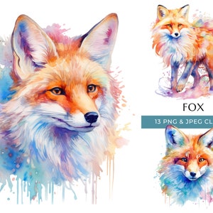 Fox Clipart - 13 PNG et JPEG de haute qualité - Aquarelle colorée Animal des bois - Artisanat numérique - Téléchargement numérique instantané