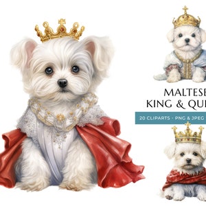 King & Queen Maltese Puppy Watercolor Clipart - 20 High Quality PNG and JPEG, Royal Dogs - Instant Digital Download