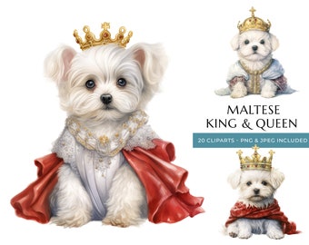 King & Queen Maltese Puppy Watercolor Clipart - 20 High Quality PNG and JPEG, Royal Dogs - Instant Digital Download