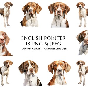 Aquarelle English Pointer Clipart Bundle 18 PNG et JPEG de haute qualité, Cadeau pour maman et papa chien, Artisanat numérique, Téléchargement numérique