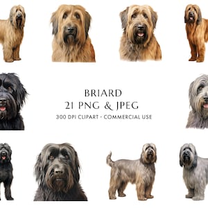Aquarell Briard Clipart Bundle 21 hochwertige PNG & JPEG, Geschenk für Hund Mama und Papa, digitales Basteln, digitaler Download