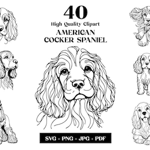 Amerikanischer Cocker Spaniel SVG & PNG Clipart Bundle, digitale Linie Kunst, minimalistisches Vektorwelpe Sublimationsdesign, Hundeliebhaber, digitaler Download