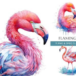 Flamingo Clipart - 11 High Quality PNGs & JPEG - Colorful Watercolor Animal Prints - Digital Crafting - Instant Digital Download