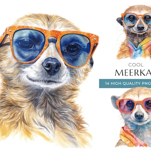 Watercolor Meerkat Clipart with Sunglasses, 14 High-Quality PNG & JPEG, Cool Safari Animal Print, Digital Crafting, Instant Digital Download