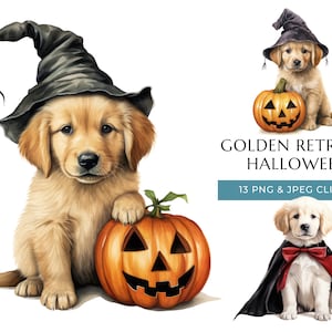 Golden Retriever Halloween hond aquarel clipart-13 hoogwaardige PNG & JPEG, Trick or Treat schattige puppy, digitale download
