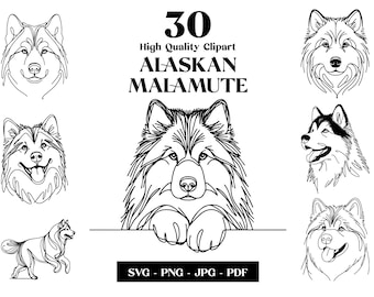 Alaskan Malamute Line Art: Minimalistisk hund SVG PNG Clipart (digital nedladdning)