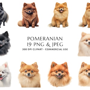 Watercolor Pomeranian Clipart Bundle 19 High Quality PNG & JPEG, Gift for Dog Mom and Dad, Digital Crafting, Digital Download