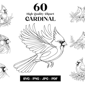 Ensemble Cardinal oiseau SVG, Clipart oiseau, dessin au trait minimaliste, logo vectoriel animal, Art moderne, tatouage et sublimation, téléchargement numérique