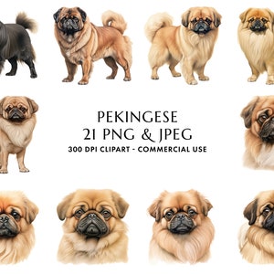 Watercolor Pekingese Clipart Bundle 21 High Quality PNG & JPEG, Gift for Dog Mom and Dad, Digital Crafting, Digital Download