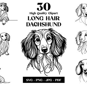 Langhaar Dackel SVG & PNG Clipart Bundle: Digitale Linie Kunst, minimalistische Vektor Hund Zeichnung für Sublimation, Hundeliebhaber, digitaler Download