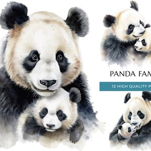 Mama und Baby Panda Bär Clipart, 12 hochwertige PNGs, Aquarell niedlich Mama Panda Bär, Muttertag, Geschenk für Mama, Digital Download Set 03