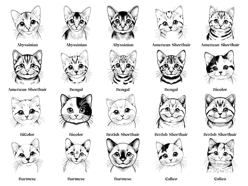 Cat Breeds SVG Bundle: 100 Cat Graphics for Cricut (digital Download ...