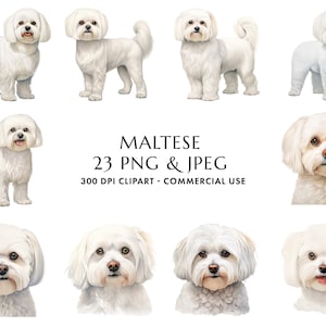 Watercolor Maltese Clipart Bundle 23 High Quality PNG & JPEG, Gift for Dog Mom and Dad, Digital Crafting, Digital Download