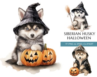 May include: Watercolor clipart featuring Siberian Husky puppies in Halloween costumes. One puppy wears a witch hat and rests on two carved pumpkins. Another holds a broom, and a third wears a hooded cloak. The text "Siberian Husky Halloween" is displayed.