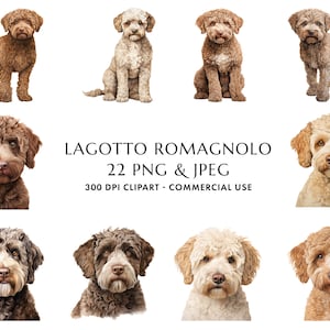Acquerello Lagotto Romagnolo Clipart Bundle 22 PNG e JPEG di alta qualità, Regalo per mamma e papà cane, Creazione digitale, Download digitale