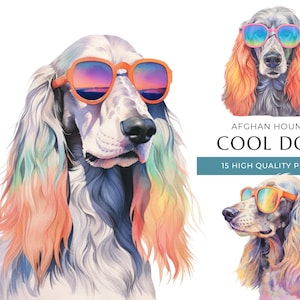 Cool Afghan Hound Dog Clipart, 15 High Quality PNGs, Funny Dogs with sunglasses Watercolor Print, Digital Crafting, Digital Download