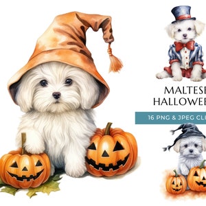 Maltese Halloween Dog Watercolor Clipart - 16 High-Quality PNG & JPEG, Trick or Treat Cute Puppy - Digital Download