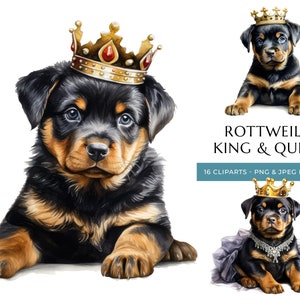 King & Queen Rottweiler Puppy Watercolor Clipart - 16 High Quality PNG and JPEG, Royal Dogs - Instant Digital Download