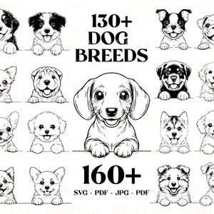 Peeking Welpe Clipart SVG Bundle, 130 Hunderassen, Hund SVG, Welpen Vektor-Grafik, Hundemama Sublimation, digitaler Download