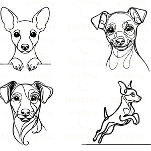 May include: Four black and white line drawings of a dog. The first drawing shows the dog's head and shoulders looking forward. The second drawing shows the dog's head and shoulders looking forward. The third drawing shows the dog's head and shoulders looking forward. The fourth drawing shows the dog running.