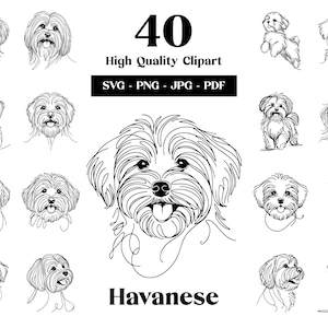 Havaneser SVG & PNG Clipart Bundle: Digitale Linie Kunst, minimalistische Vektorzeichnung für Sublimation, Hundeliebhaber, Welpe digitaler Download