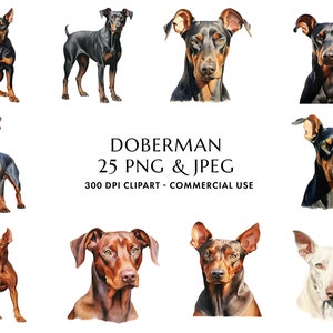 Aquarell Dobermann Pinscher Clipart Bundle 25 hochwertige PNG & JPEG, Geschenk für Hund Mama und Papa, digitales Basteln, digitaler Download