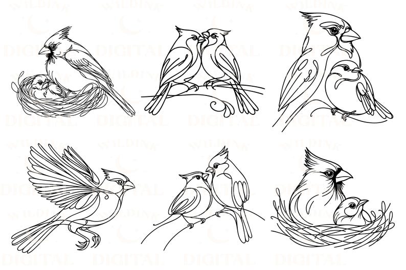 Cardinal Bird SVG Bundle: Minimalist Line Art (digital Download) - Etsy