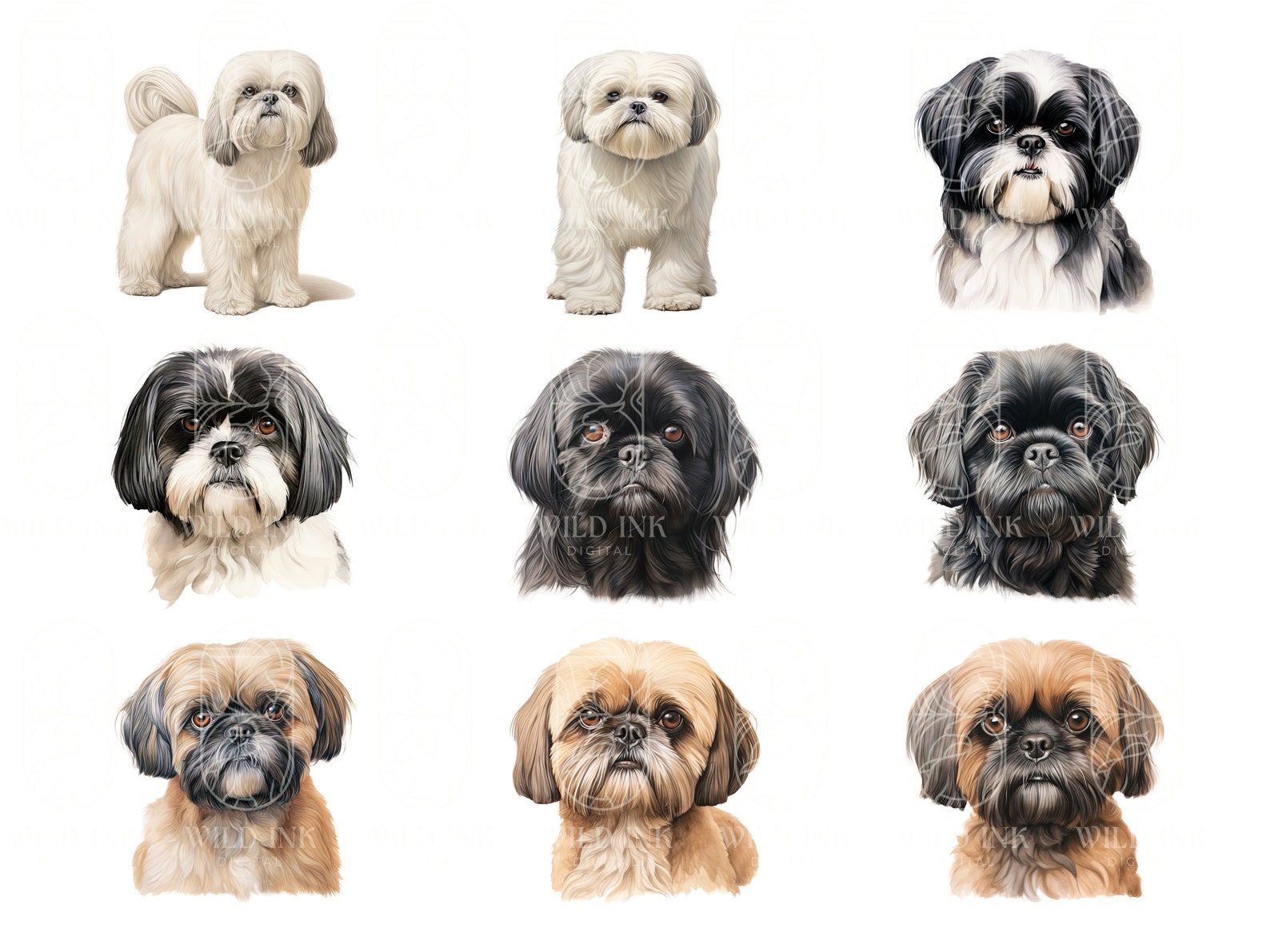 Watercolor Shih Tzu Clipart Bundle: 44 PNG & JPEG Images (digital ...