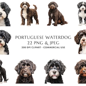 Aquarell portugiesischer Wasserhund Clipart Bundle 22 hochwertige PNG & JPEG, Geschenk für Hund Mama und Papa, digitales Handwerk, digitaler Download