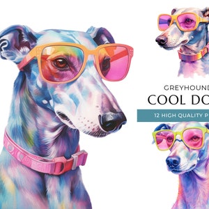 Coole Windhund Hund Clipart, 12 hochwertige PNGs, lustige Hunde mit Sonnenbrille Aquarell Drucke, digitales Basteln, digitaler Download