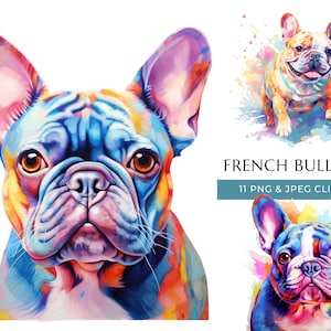Clipart de cachorro buldogue francês - 11 PNGs e JPEG de alta qualidade - cachorro aquarela colorido - artesanato digital - download digital instantâneo