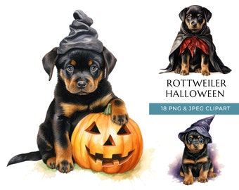 May include: Watercolor illustrations of Rottweiler puppies in Halloween costumes. One puppy wears a witch hat and sits with a carved pumpkin. Another puppy is dressed in a cape. The text "Rottweiler Halloween" is displayed.