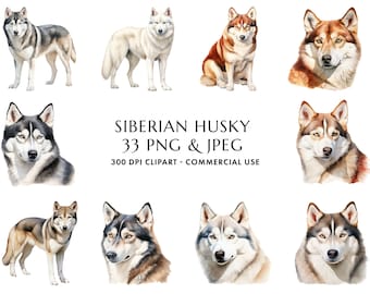 Pacchetto di clipart di husky siberiano ad acquerello, regalo per mamma di cane (download digitale)