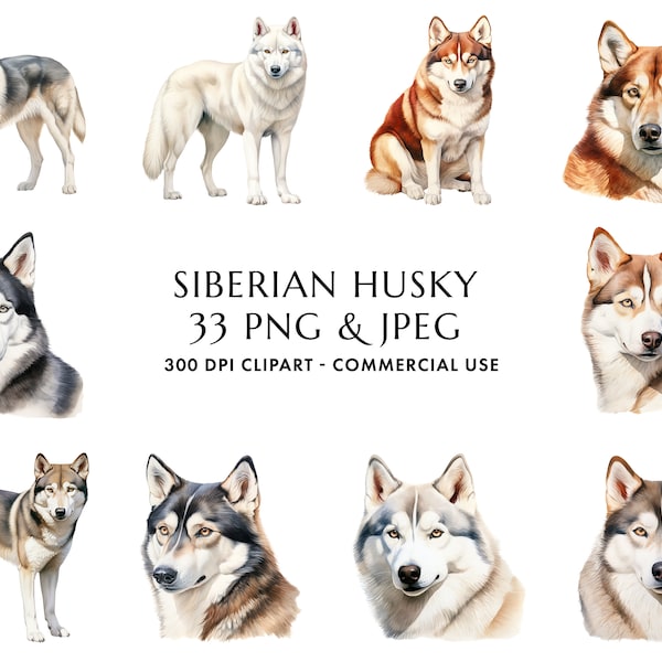 Watercolor Siberian Husky Clipart Bundle 33 High Quality PNG & JPEG, Gift for Dog Mom and Dad, Digital Crafting, Digital Download