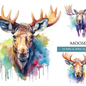 Moose Clipart - 12 High Quality PNGs & JPEG - Colorful Watercolor Woodland Animal Prints - Digital Crafting - Instant Digital Download