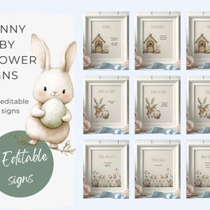 Somebunny Spezielles Babyparty-Zeichen-Bundle, Geschlechtsneutrale Osterkaninchen-Partyschilder, bearbeitbares Sprinkle-Zeichenset, Partyschildvorlagen, ba138