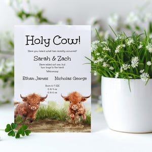 Anúncio de nascimento de gêmeos Highland Cow, cartão de estatísticas de nascimento de recém-nascidos, modelo editável de gênero neutro para pais de gêmeos, menino ou menina ba030