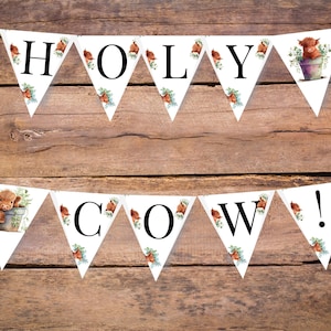 Highland Cow Baby Shower Decorations, Highland Cow Party Decorations, Boho Cow Editable Template, Funny Celebration Banner Garland ba30