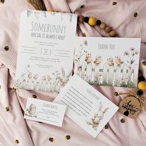 Somebunny on the Way babyshower uitnodigingsbundel, paasboeken voor babyverzoek, genderneutrale luierloterij, lente bedankt, BA138