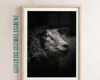 Black & White Sheep Wall Art – Bold Fine Art Animal Portrait - Dramatic Photography Print – Modern Fine Art Statement – Digital Download