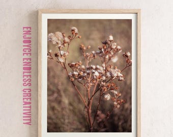 Soft Autumn Wildflower Photography Print – Feminine Nature Wall Art with Warm Light & Delicate Mood – Instant Download