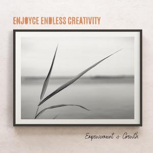 Puede incluir: Una fotografía en blanco y negro de una sola hoja de hierba sobre un fondo borroso de agua. La imagen está enmarcada en un marco negro. El texto "Enjoyce Endless Creativity" está en la parte superior de la imagen y el texto "Empowerment & Growth" está en la parte inferior de la imagen.